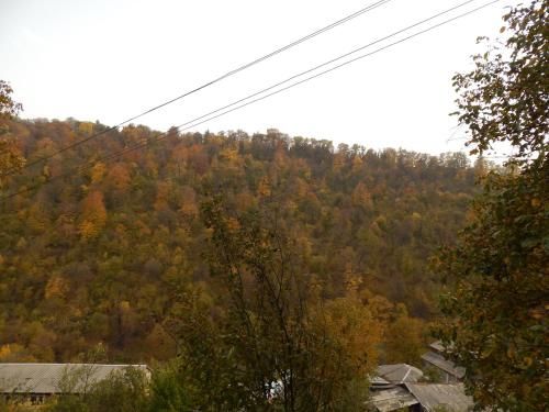 Outdoor Pictures 19