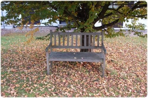 Outdoor Pictures 9