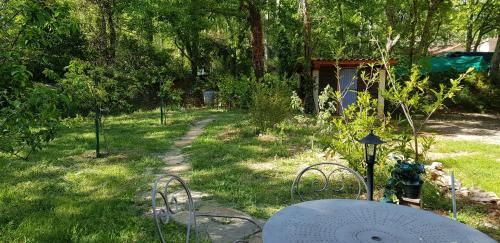Outdoor Pictures 24