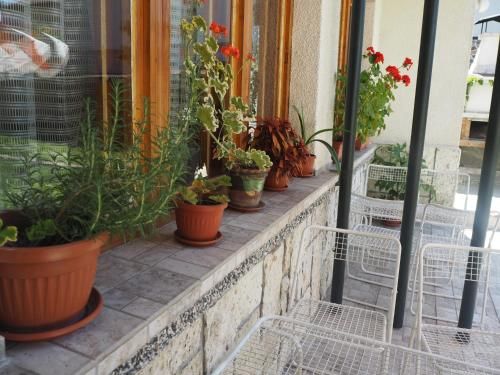 Outdoor Pictures 5