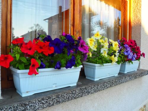 Outdoor Pictures 8