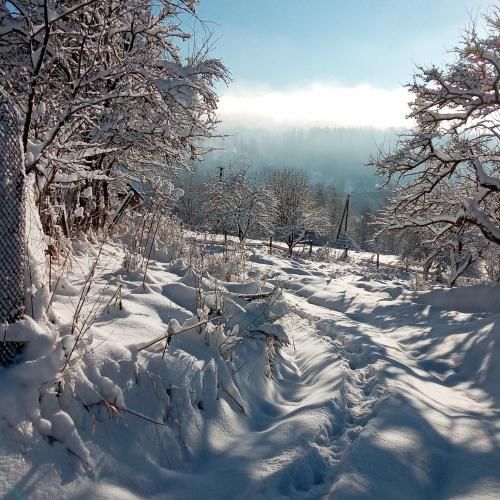 Outdoor Pictures 7