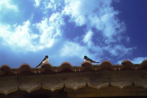 Outdoor Pictures 22