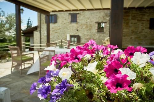 Outdoor Pictures 21