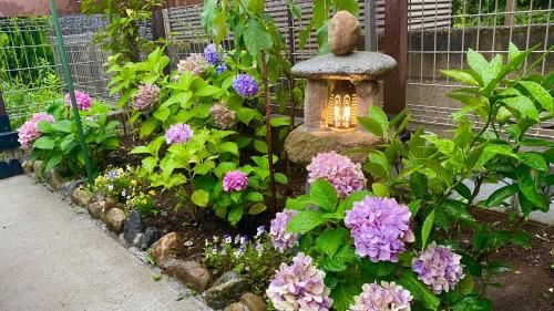 Outdoor Pictures 11