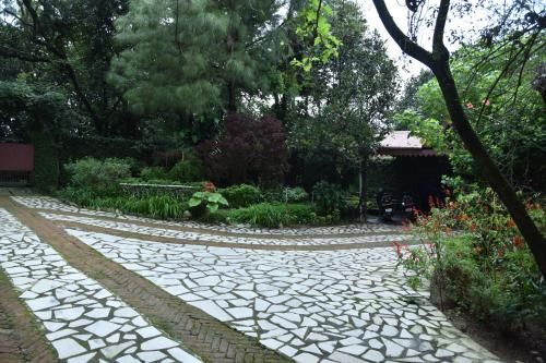 Outdoor Pictures 7