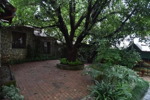 Outdoor Pictures 10