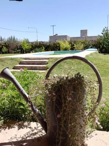 Outdoor Pictures 1