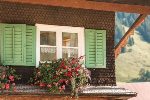Outdoor Pictures 14