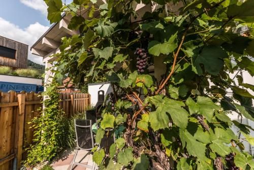 Outdoor Pictures 23