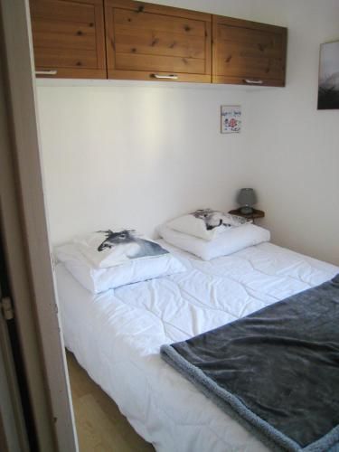 Appartement d'une chambre a Bernex a 50 m des pistes avec balcon et wifi