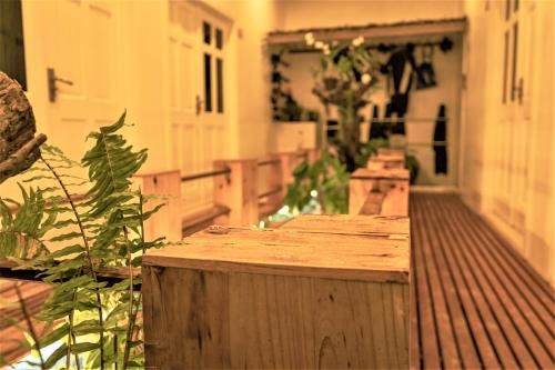 Outdoor Pictures 18