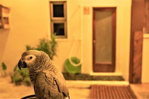Outdoor Pictures 21