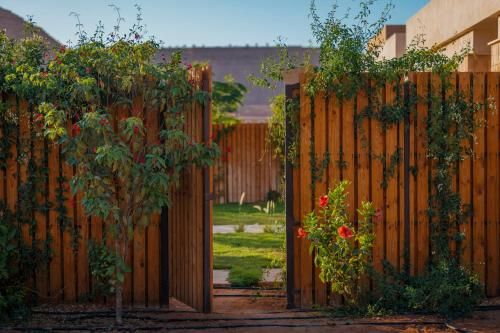 Outdoor Pictures 24