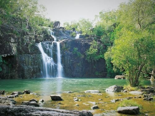 Palm Grove Rainforest Retreat
