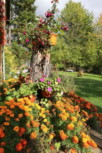 Outdoor Pictures 5