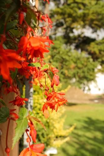 Outdoor Pictures 7