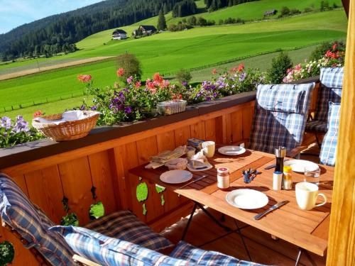 Outdoor Pictures 21