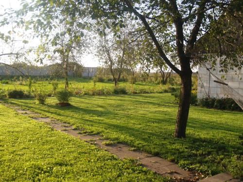 Outdoor Pictures 10