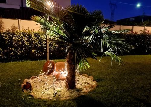 Outdoor Pictures 3