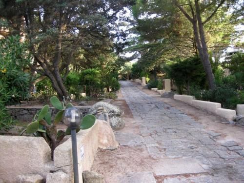Outdoor Pictures 7