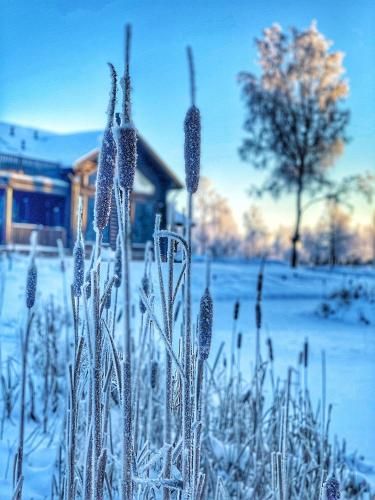 Outdoor Pictures 16