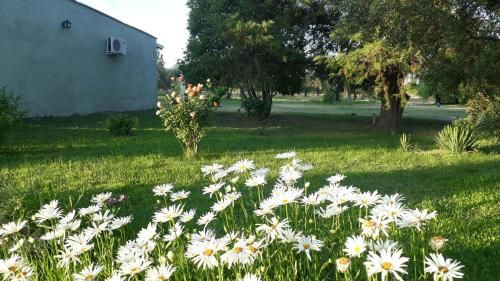 Outdoor Pictures 24