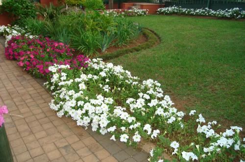 Outdoor Pictures 15