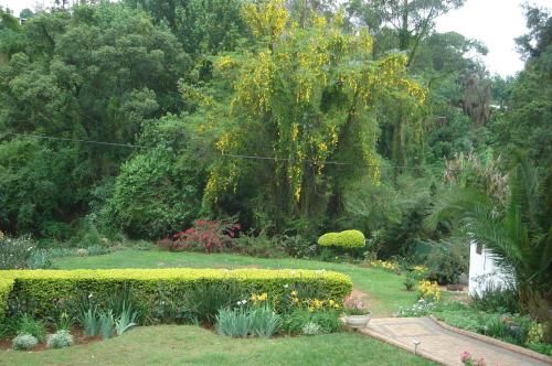 Outdoor Pictures 19