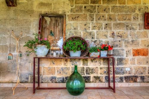 Outdoor Pictures 7