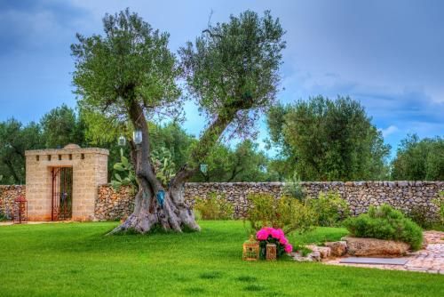 Outdoor Pictures 9