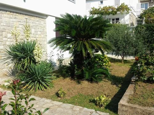Outdoor Pictures 8