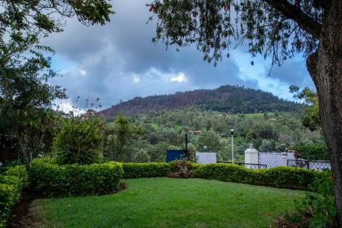 Outdoor Pictures 5