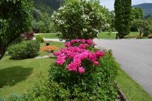 Outdoor Pictures 8