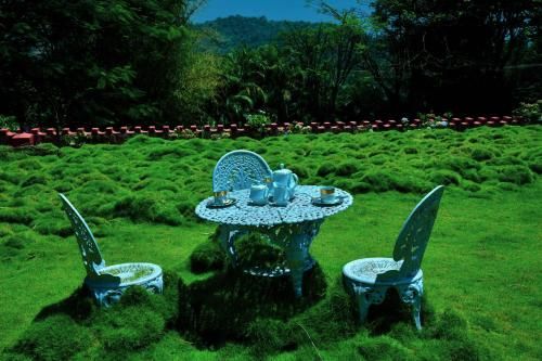Outdoor Pictures 4