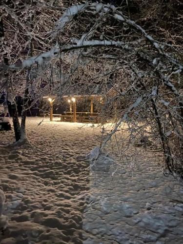 Outdoor Pictures 21