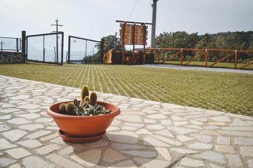 Outdoor Pictures 15