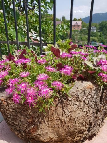 Outdoor Pictures 21