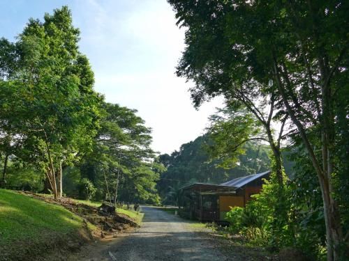 Sepilok B&B
