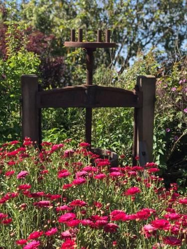 Outdoor Pictures 14