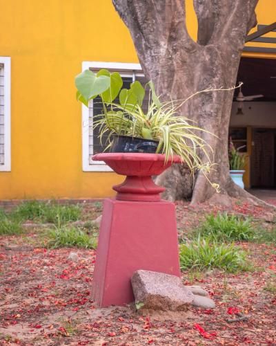 Outdoor Pictures 5