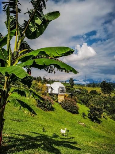 Outdoor Pictures 24