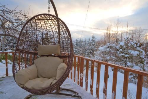 Outdoor Pictures 10