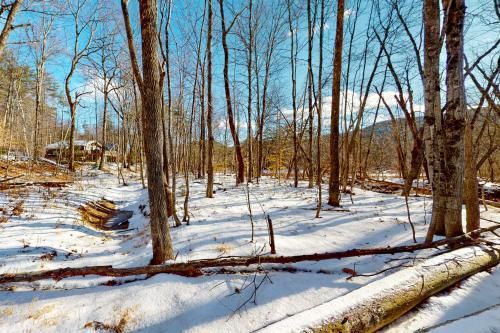 Outdoor Pictures 20