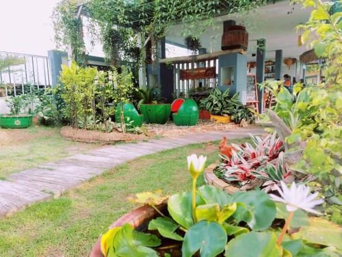Outdoor Pictures 5