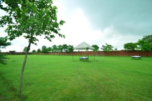 Outdoor Pictures 2