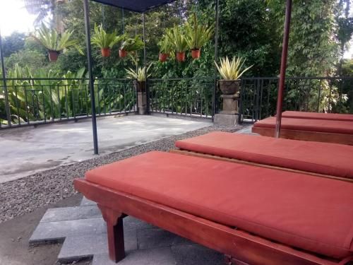 Outdoor Pictures 6