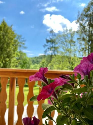 Outdoor Pictures 1