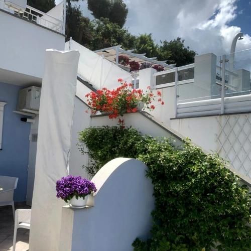 Pharus miseni B&B