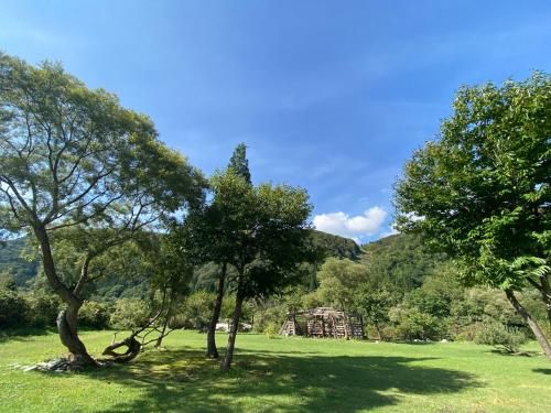 Outdoor Pictures 1